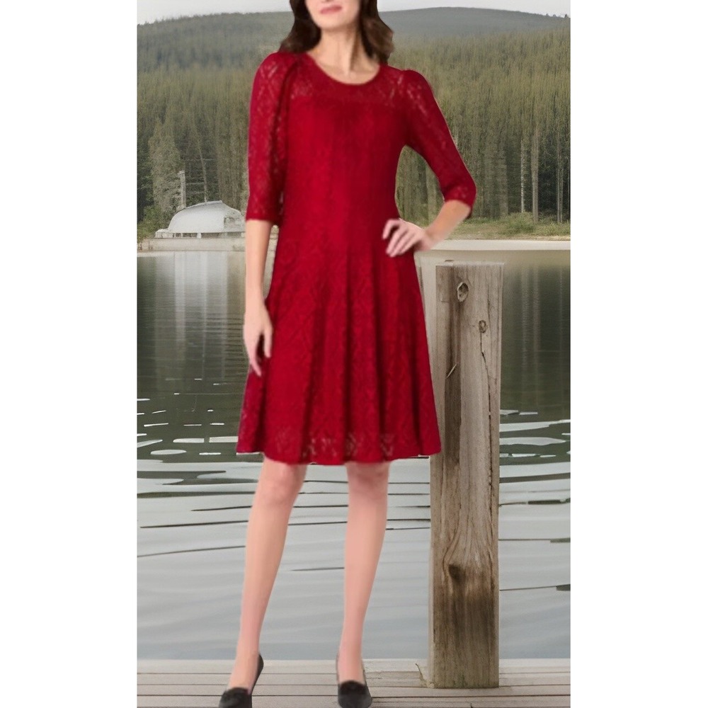Chic Rabbit Rabbit Rabbitβ Burgardy Embroidered Eyelace Dress size 6
